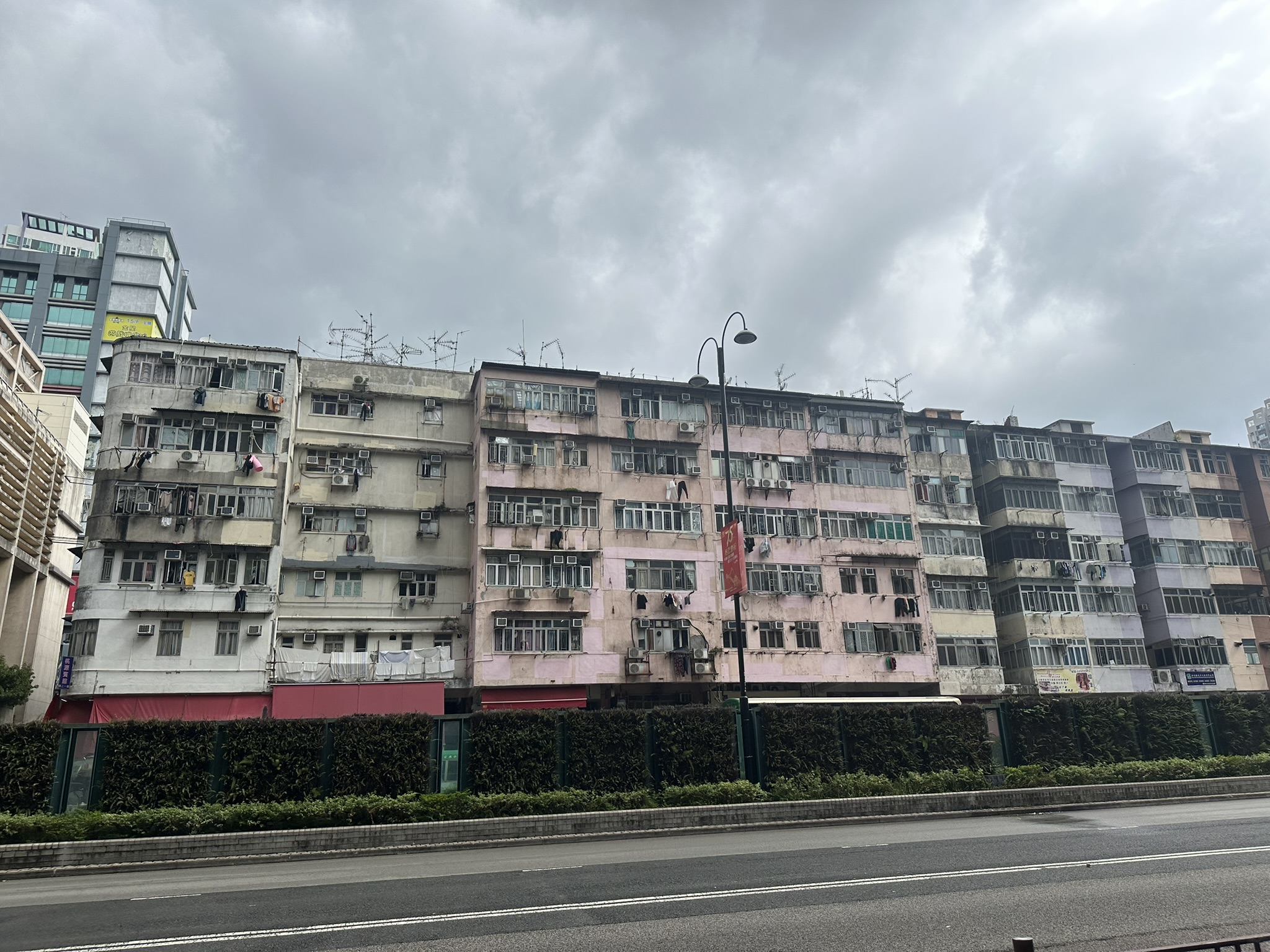 IMG_1841.JPEG